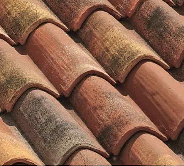 �at� Teras Kapama